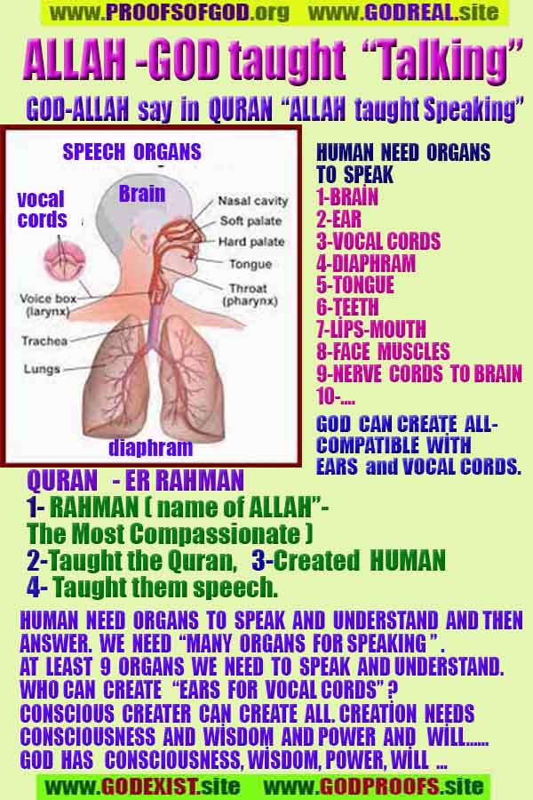 what are proofs of god?, proofs of god, proof of god, proofs-god, god-proof, god-proofs, god evidences, evidences of god, evidences god, god exists proofs, god is real proofs